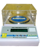 FDT Model Scale